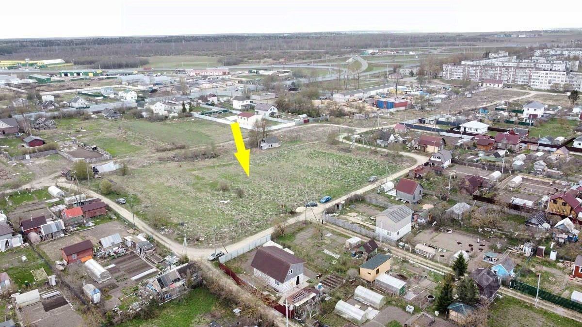 Малые колпаны кооперативная 1. Малые колпаны кооперативная 1