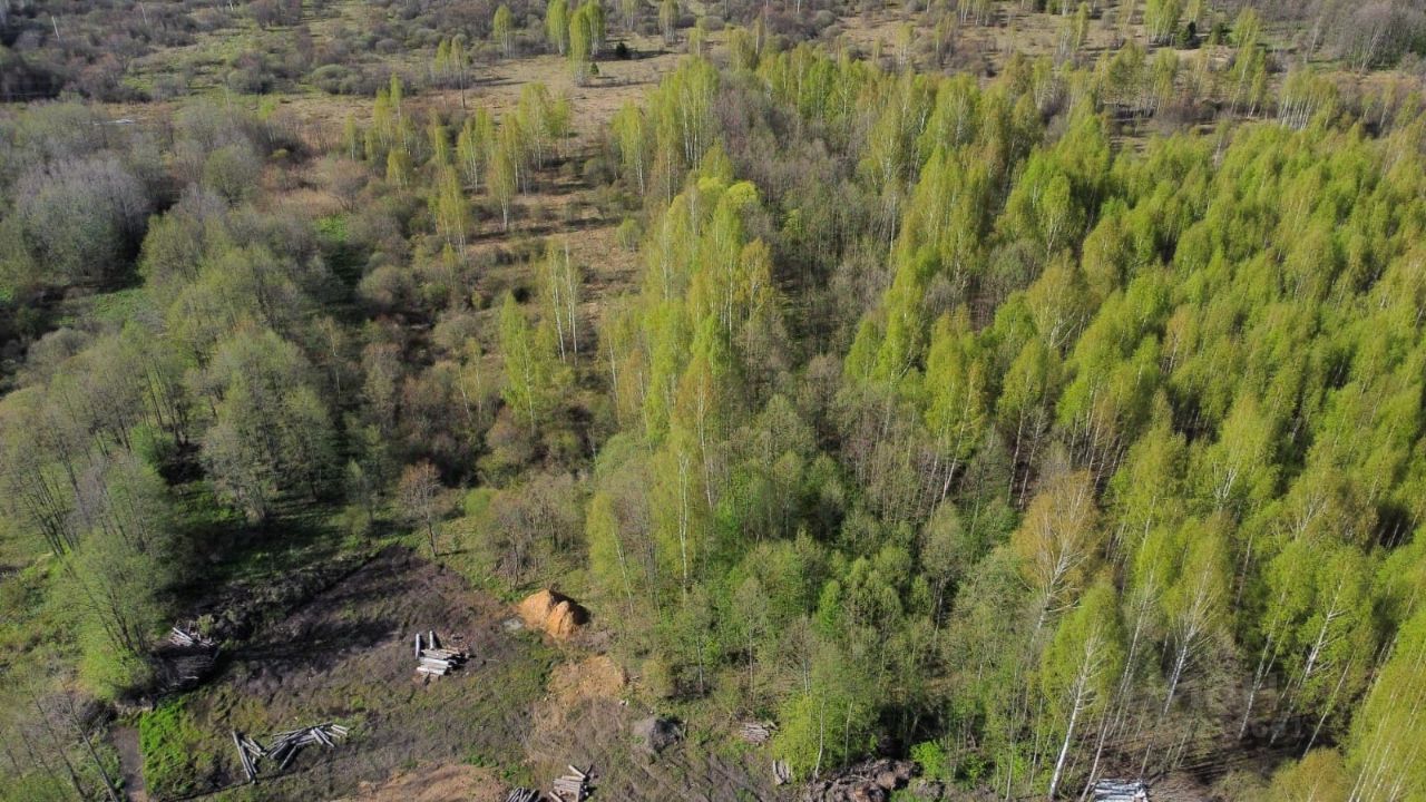 Фото бурашево тверская область