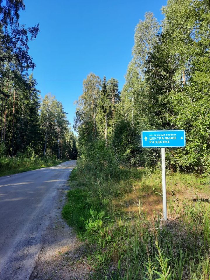 центральное раздолье. центральное раздолье. центральное раздолье. план коттеджного поселка центральное раздолье. центральное раздолье.