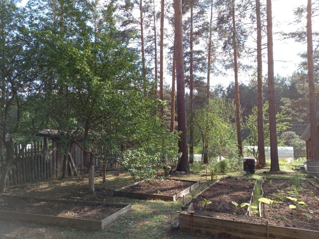 Сады сысерть. Сады сысерть