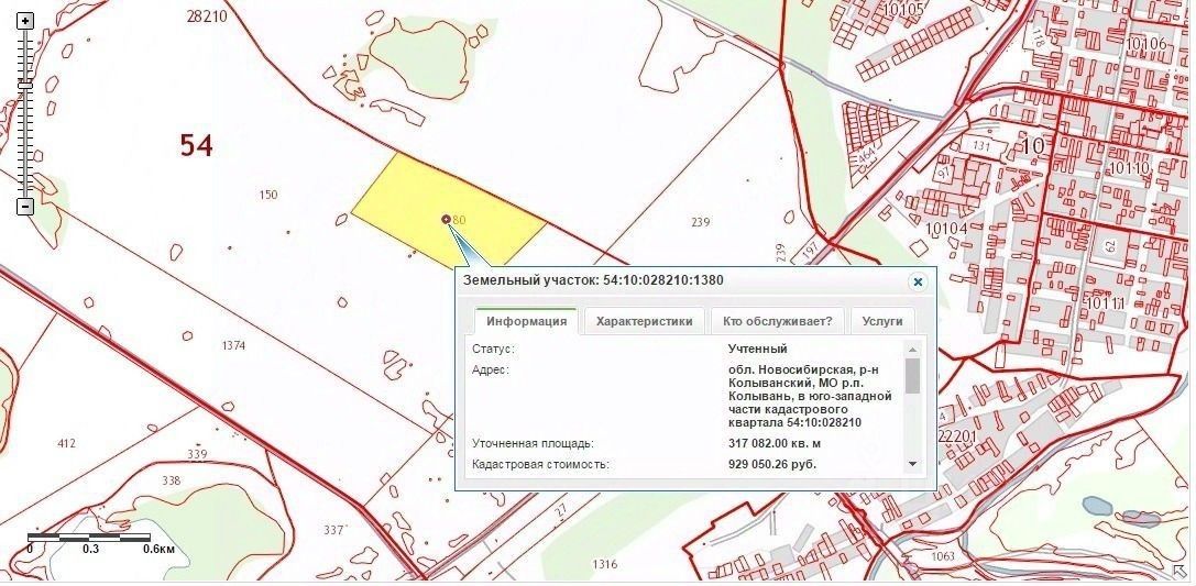 СНТ большая семья Колывань. 54:10:028210:5810 Найти на карте.