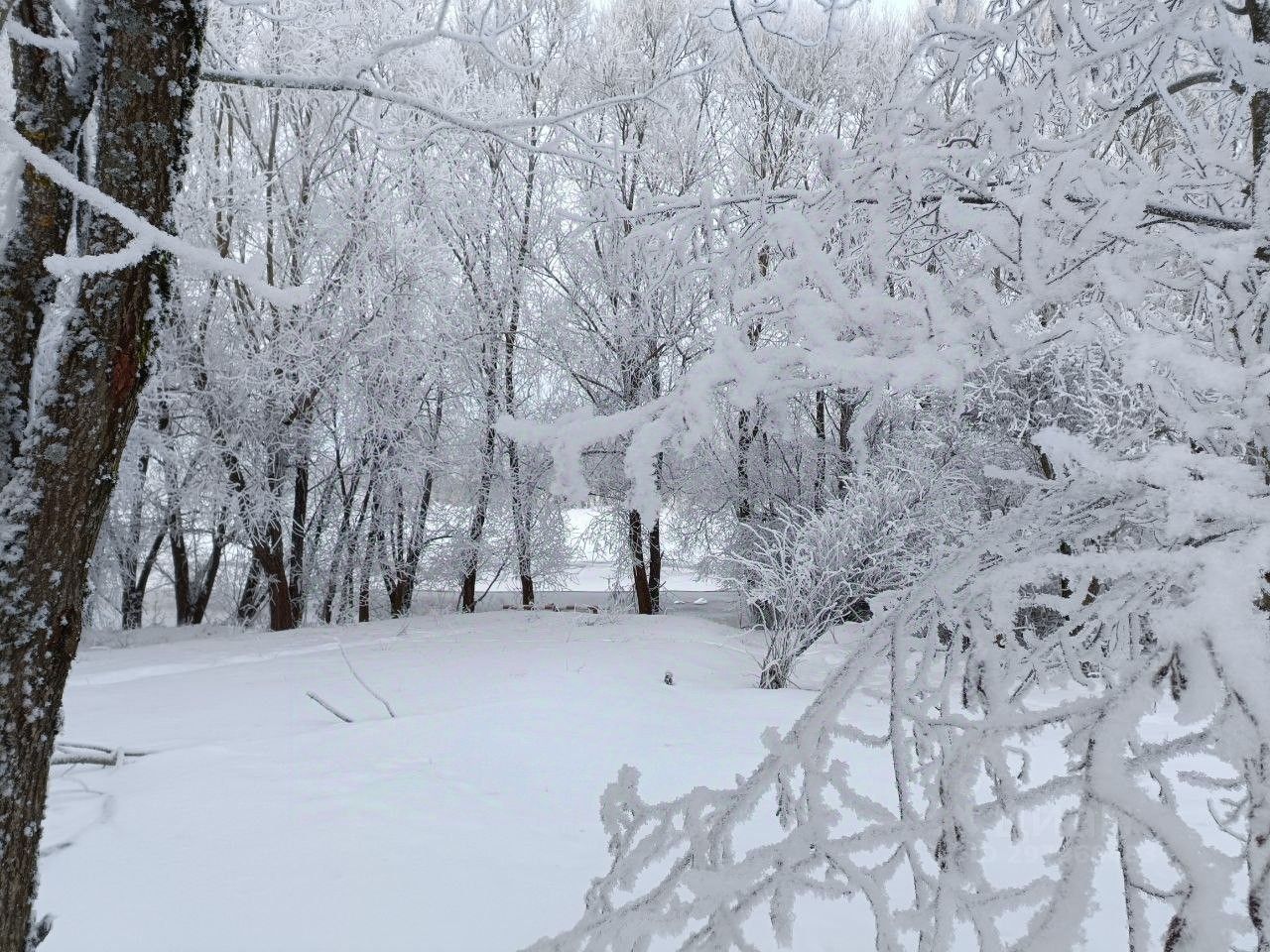 Купить участок 12сот. ул. Рубиновая, 11, Ленинградская область ...