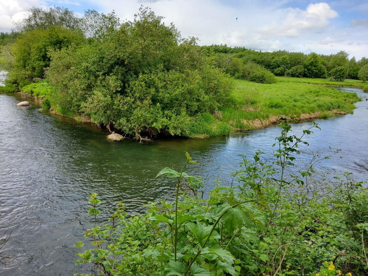 Продажа участка 12сот. ул. Янтарная, 38, Ленинградская область ...