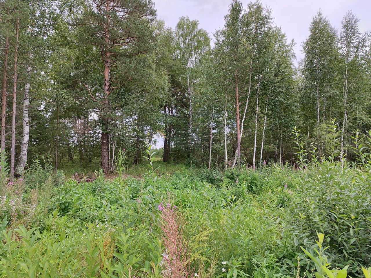 Село малобрусянское свердловской