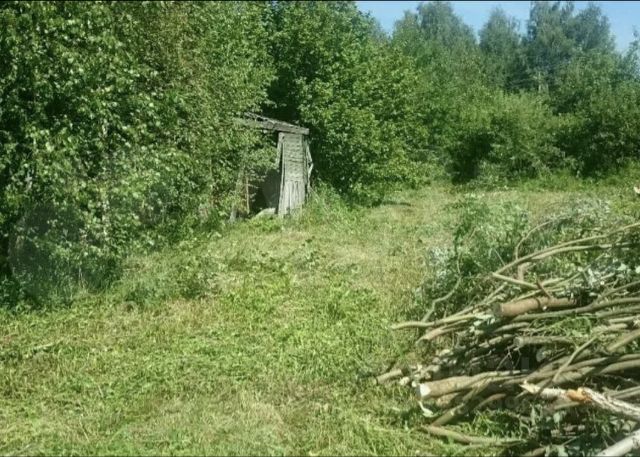 Шатура земельные участки. Шатура земля. Пляж СНТ Мебельщик Шатура.