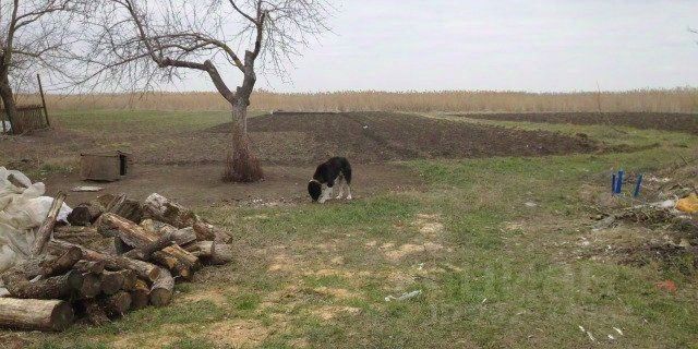 Погода в могукоровке