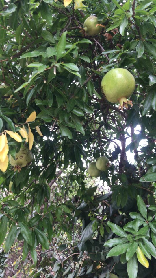 Купить участок 6сот. ул. 28-я, Крым респ., Симферопольский район ...