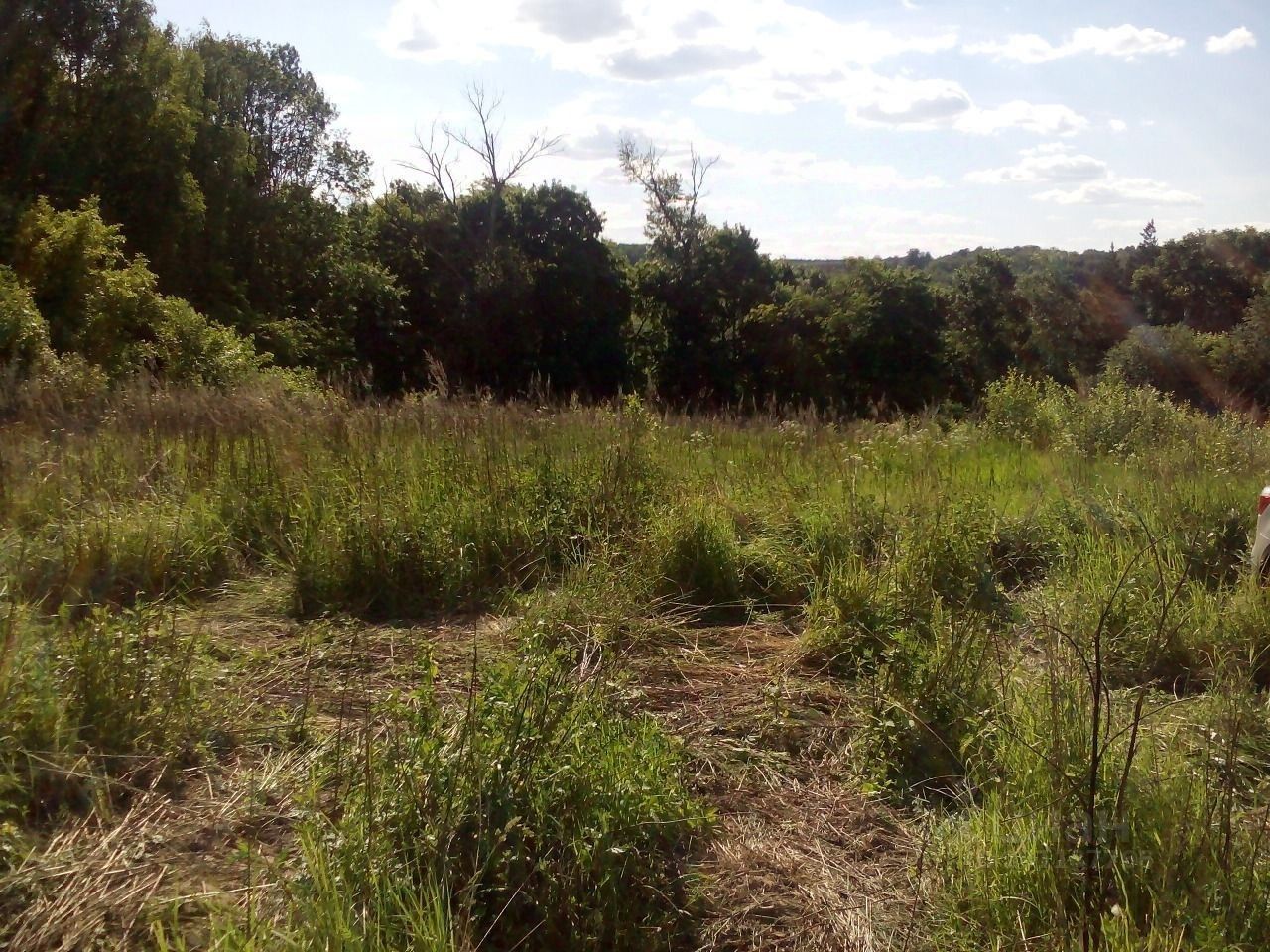 Продаю участок 25сот. Московская область, Коломна городской округ ...