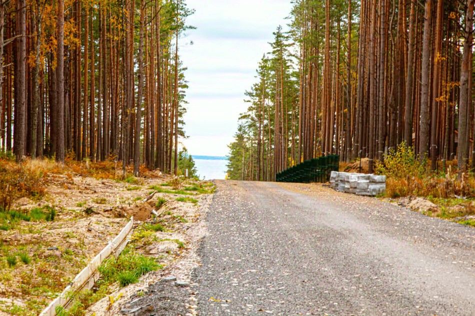 Поселок Пески Ленинградская область. Поселок Пески Ленинградская область Выборгский район. Акватория коттеджный поселок Пески. Посёлок Акватория Ленинградская область.