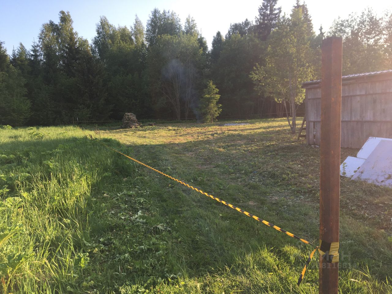 тсн раздолье