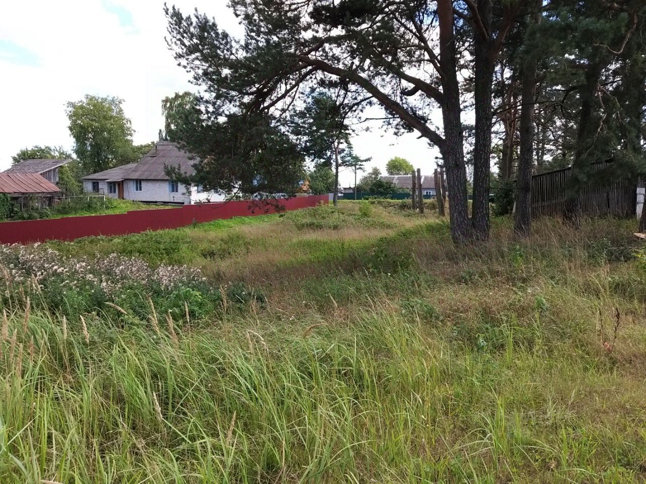 Погода в селище селижаровский тверская