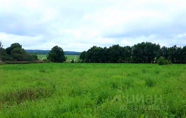 Скребловское сельское поселение лужского