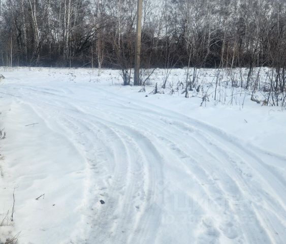 В гостях у ландшафтных дизайнеров