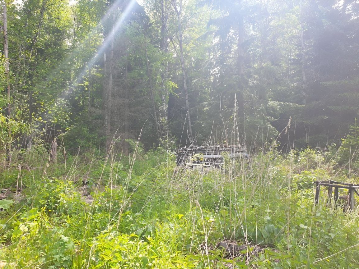 Элитовский сельсовет. Село Арейское Емельяновского района. Зона село Арейское фото. Купить участок СНТ Юпитер 77.