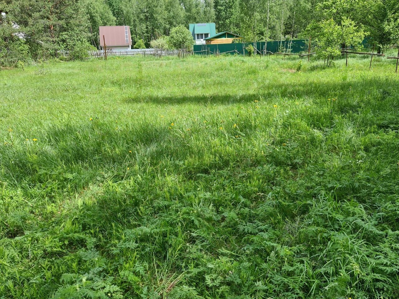 Снт Искона Можайский Район Купить Участок