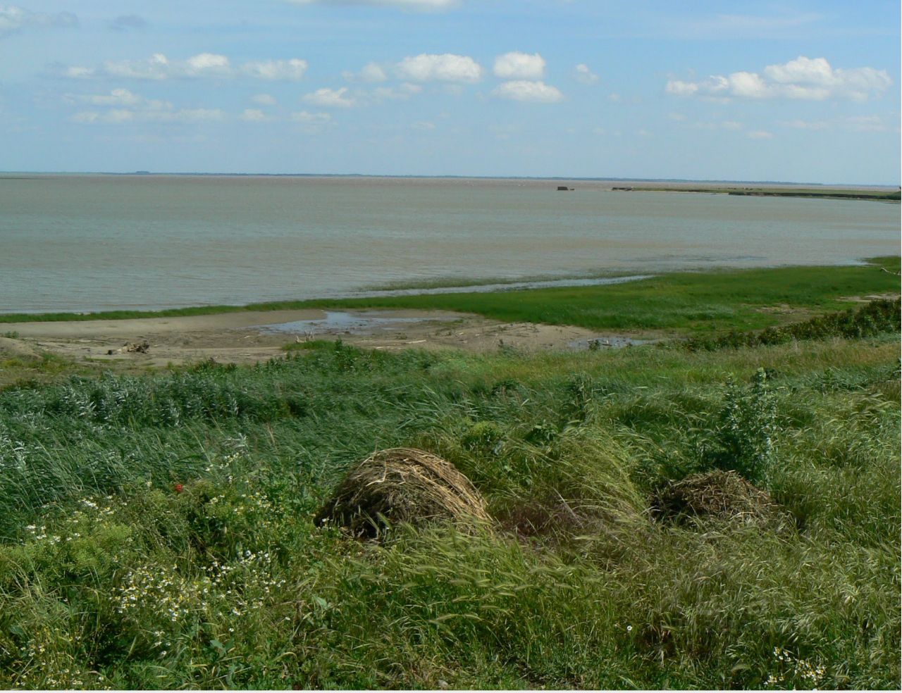 Станица старокорсунская. Ст Старокорсунская Краснодарский край. Краснодарское водохранилище Старокорсунская. Старокорсунская Кубань водохранилище Краснодарский край. Старокорсунская станица пляж.