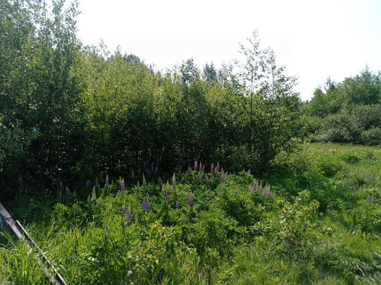 Продаю участок 8сот. Ленинградская область, Выборгский район ...