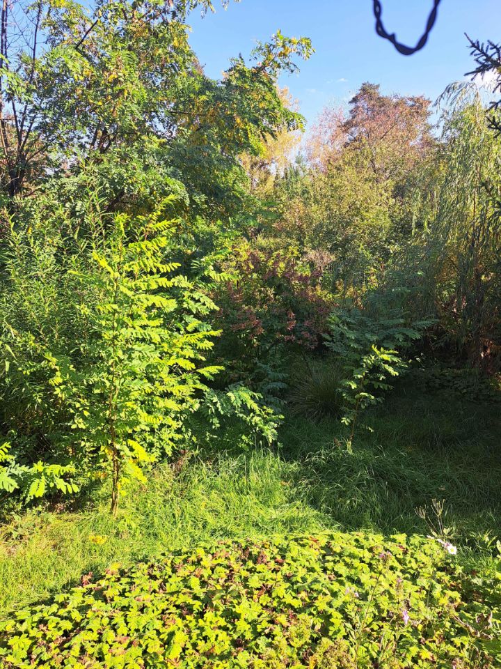 Продаю участок 20сот. ул. Дорожная, Московская область, Пушкинский ...