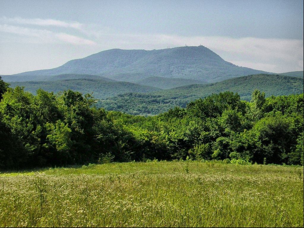 Баши краснодар