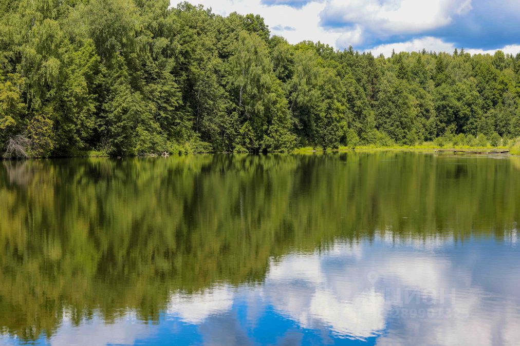 Днп ветеран домодедовский район фото