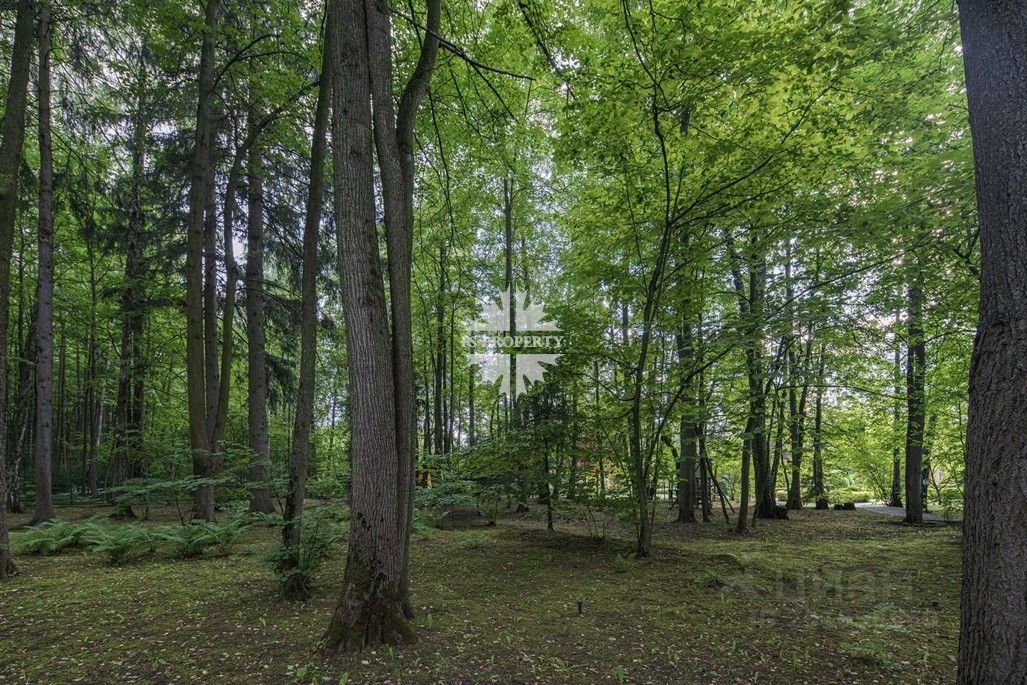 Купить участок 40сот. Московская область, Одинцовский городской округ ...