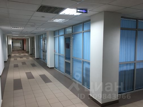 аренда офиса басков 33 цоколь аренда офиса басков 33 цоколь